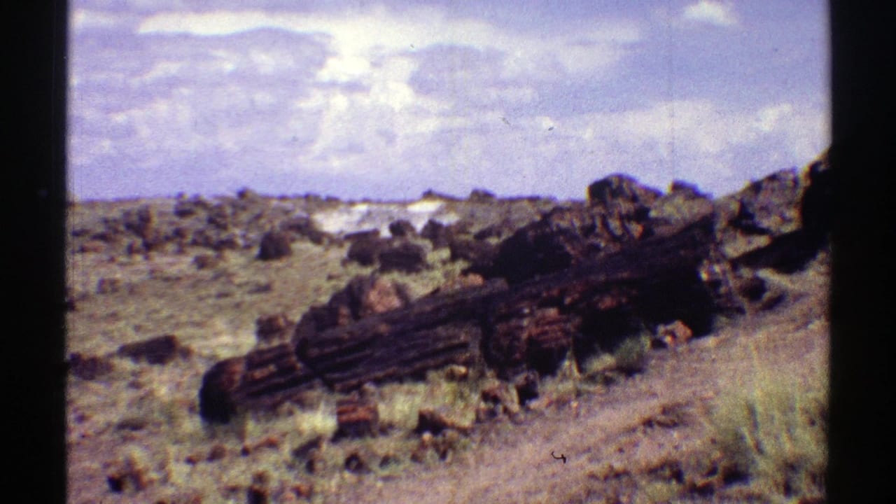 1969 Arizona home-movie frame showing rocky desert ground, dark petrified wood, sparse scrub, low hills, and a bright clouded sky.