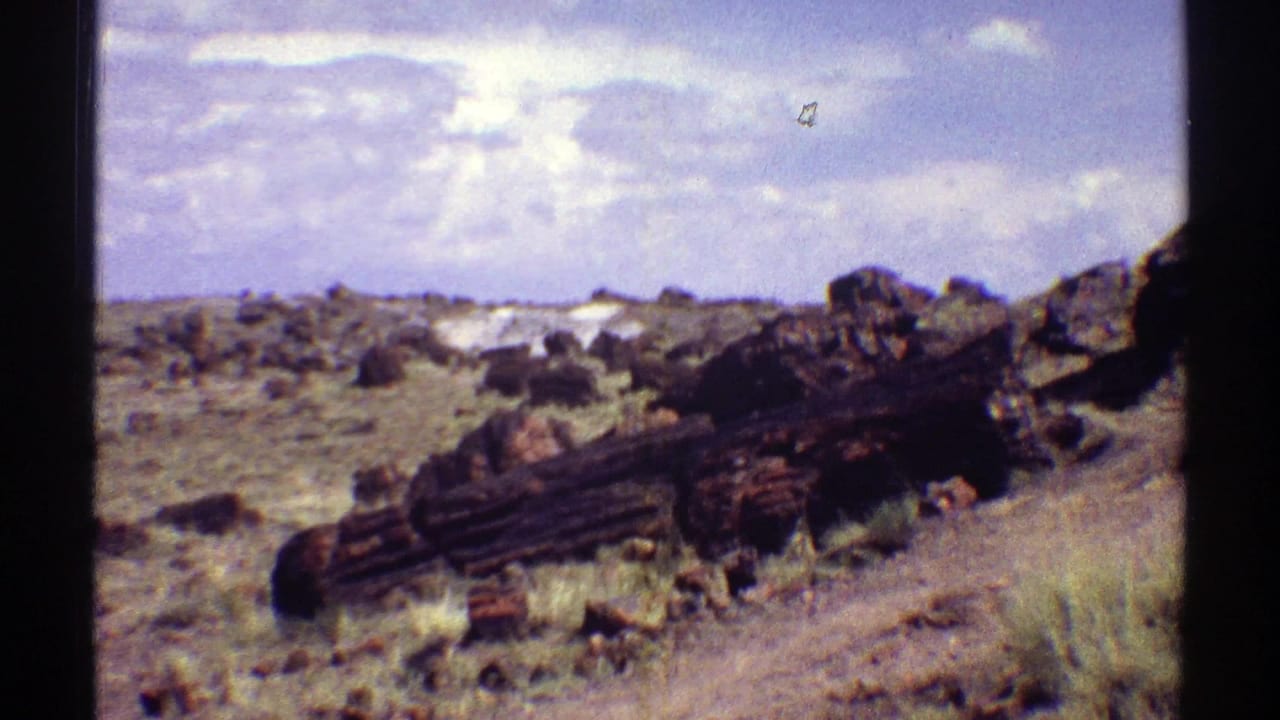 1969 Arizona desert view with a large dark petrified log in the foreground, scattered rocks, dry brush, and a low clouded horizon.