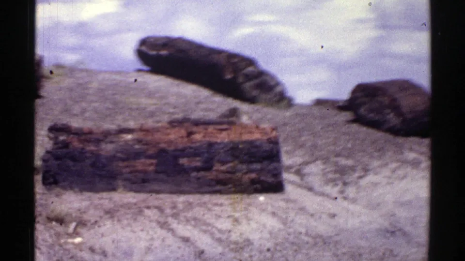 1969 Arizona 8mm frame with a dark log-like foreground form, scattered rocks, scrub, and open desert sky.