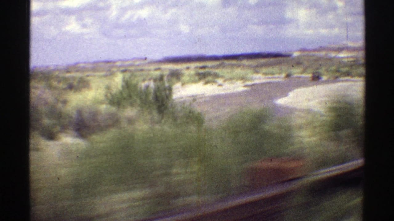 Blurred roadside desert vegetation and pale terrain seen from a moving vehicle.