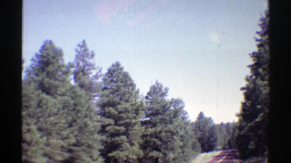 Arizona 8mm road-trip frame showing a narrow paved road curving through dense pines.
