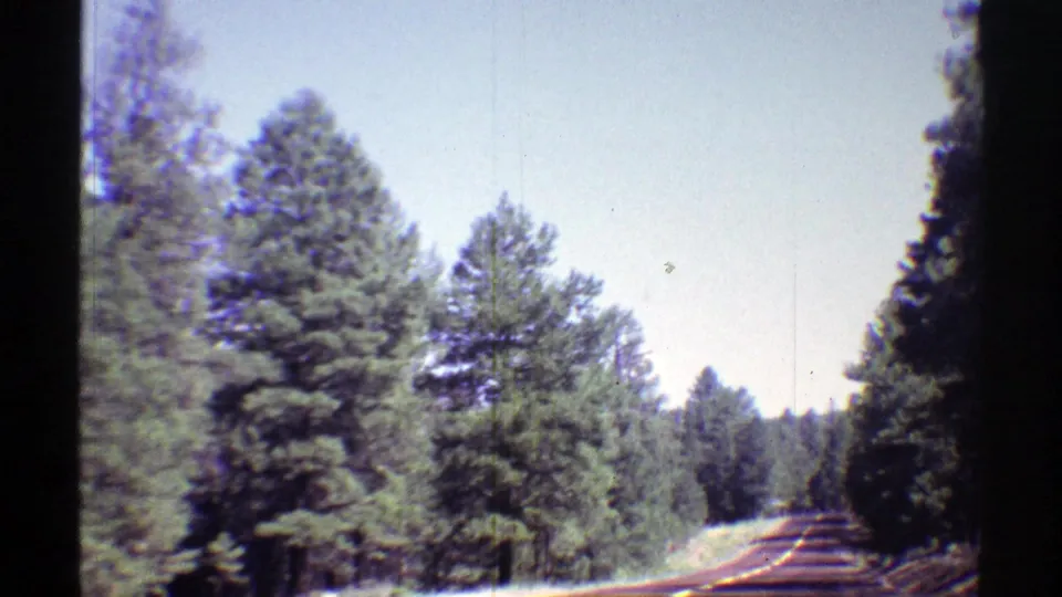 1969 Arizona 8mm frame showing a paved roadside view through tall pine trees from a moving vehicle.