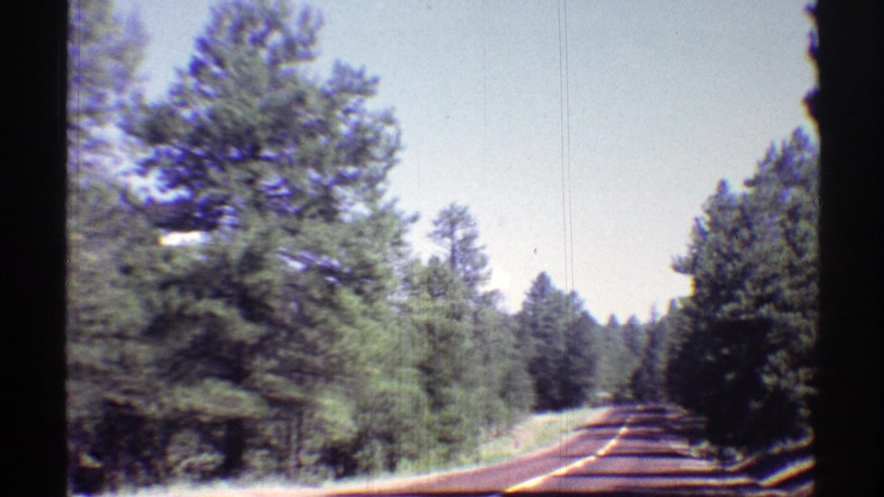 Vintage 8mm road-travel view in Arizona, with pine trees lining a sunlit two-lane road.