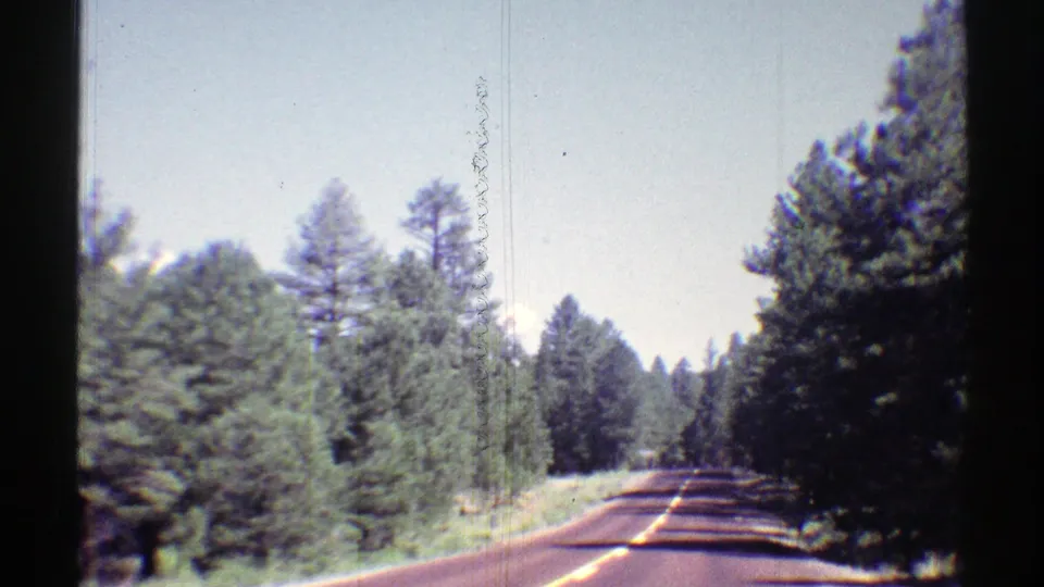 Home-movie frame from 1969 Arizona showing a moving-car view along a paved road bordered by pines.