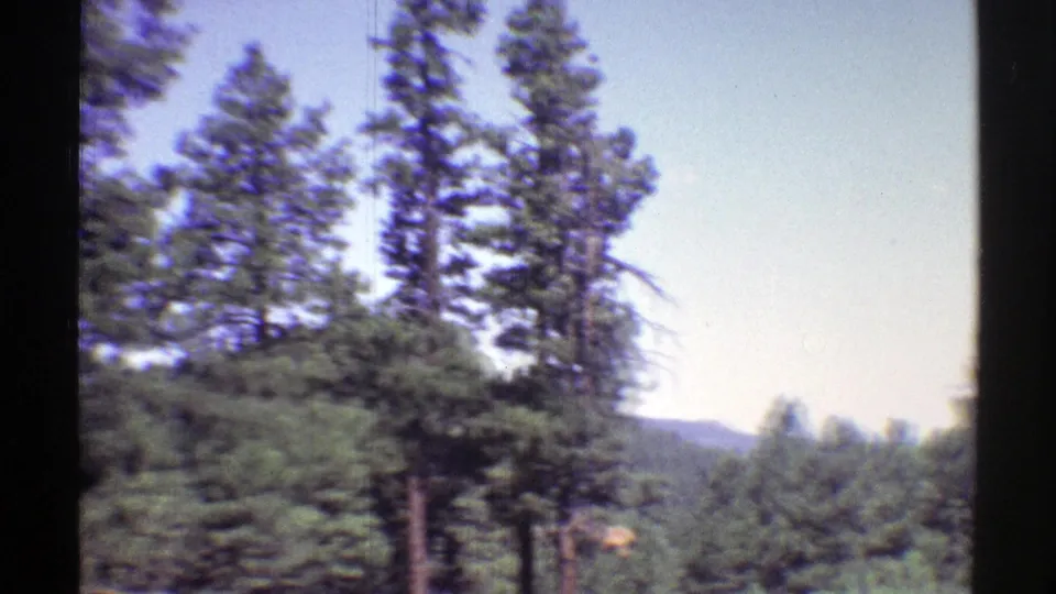 Arizona 8mm frame showing roadside pines and distant hills as the camera passes through forested terrain.