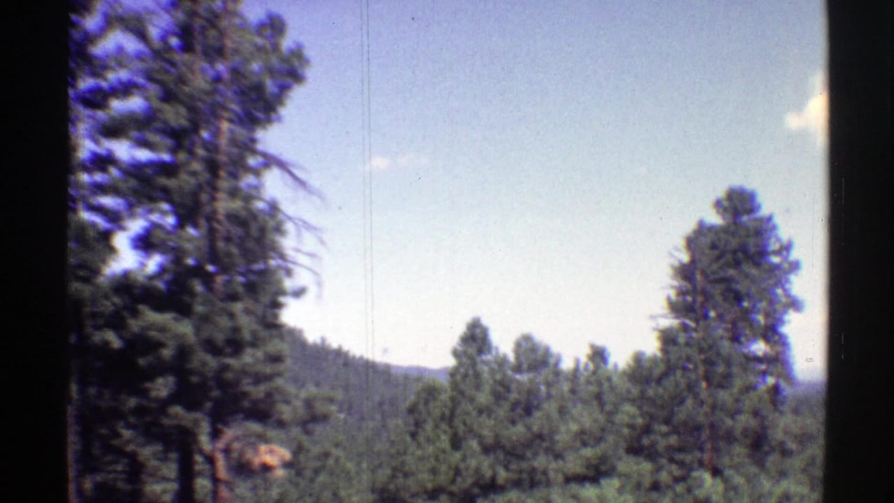 Pine forest and distant hillside seen from a moving vehicle under blue sky.