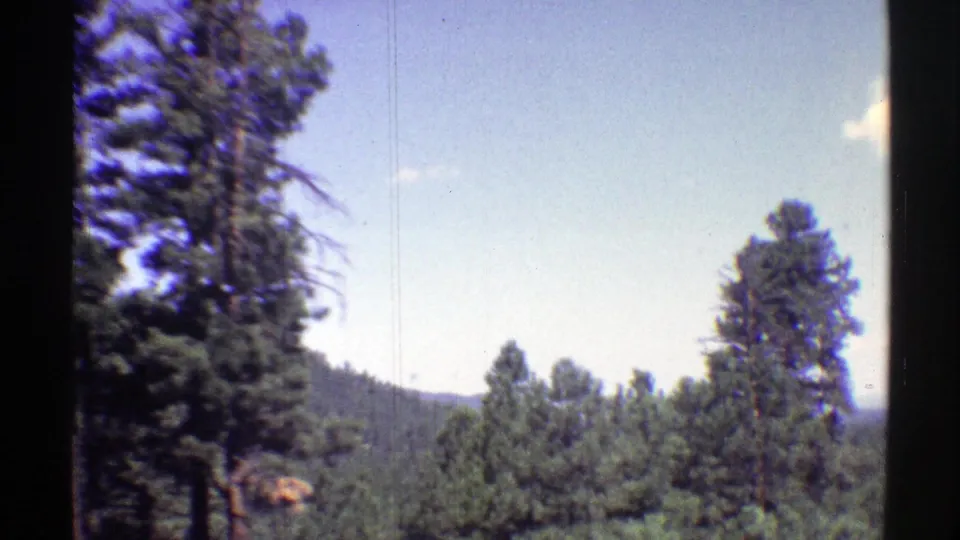 1969 Arizona 8mm frame showing tall pines, wooded hillside, and blue sky from a moving roadside view.