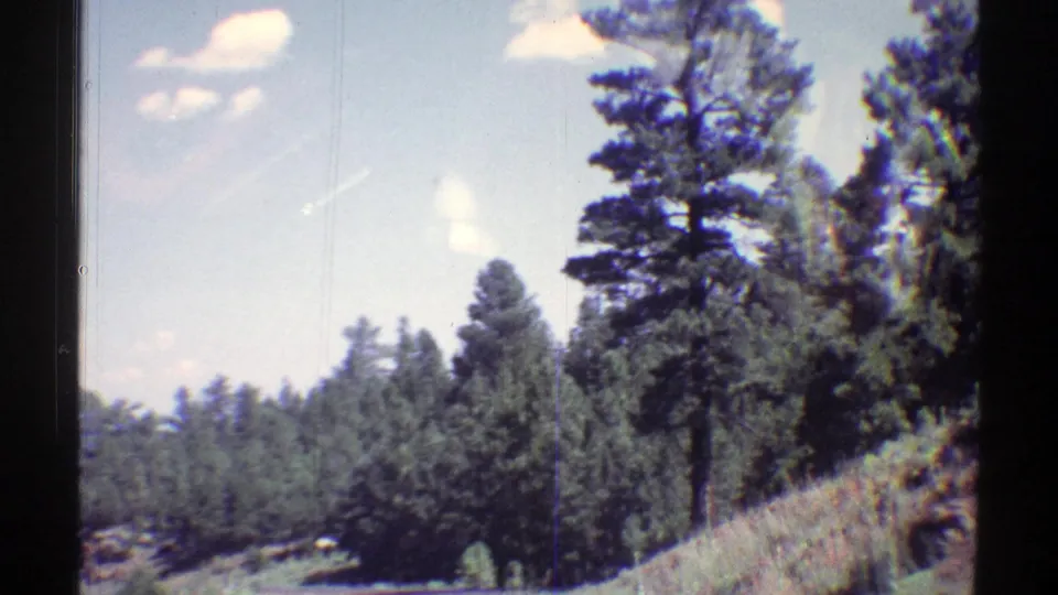 1969 Arizona travel frame showing a sloped pine forest, blue sky, and soft 8mm exposure texture.