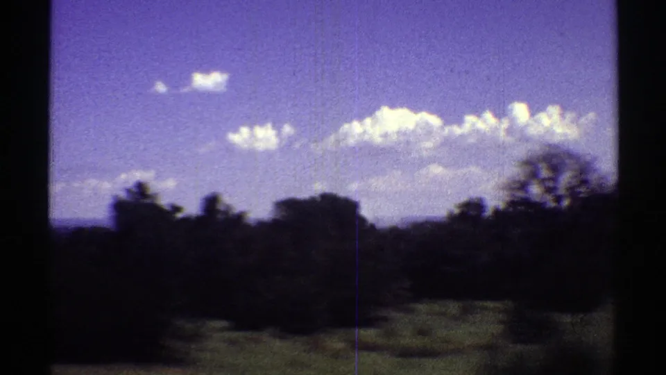 1969 Arizona 8mm still showing low grass, brush, dark tree forms, distant land, and a bright sky from a moving vehicle perspective.