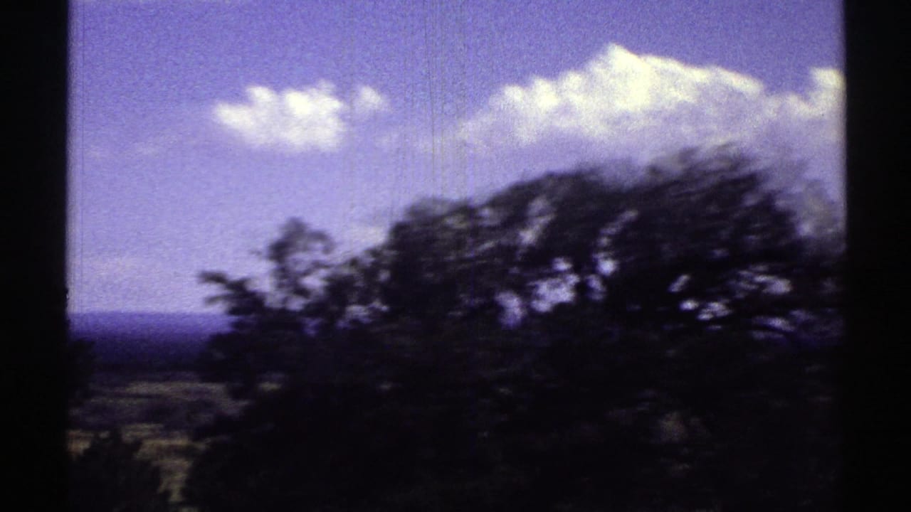 Dark trees and bright clouds seen beside a film-frame divider.