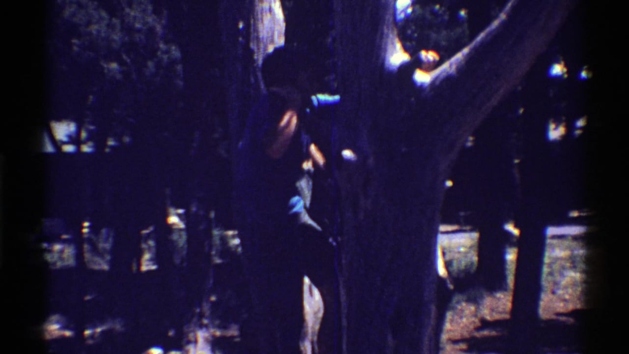 Child partly hidden by a large tree trunk in a shaded outdoor setting.
