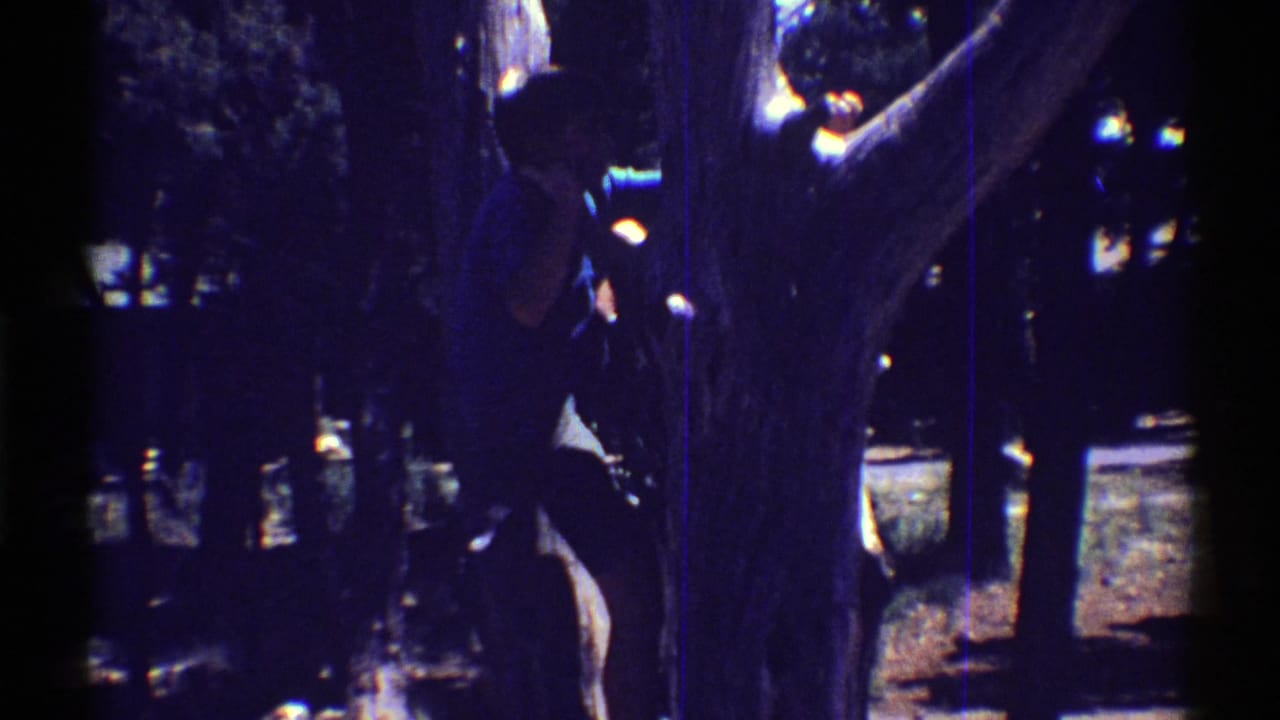 A child in dark clothing reaches around a large tree trunk during 1969 Arizona home-movie footage, with strong blue-purple film color shift.