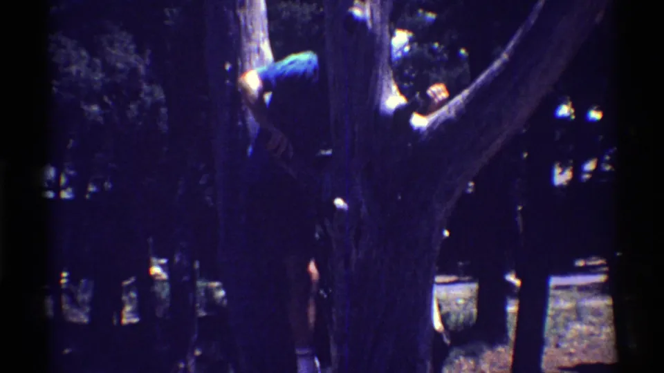 Near the end of the clip, the child is mostly obscured by the tree while climbing or reaching in the shaded 1969 Arizona scene.