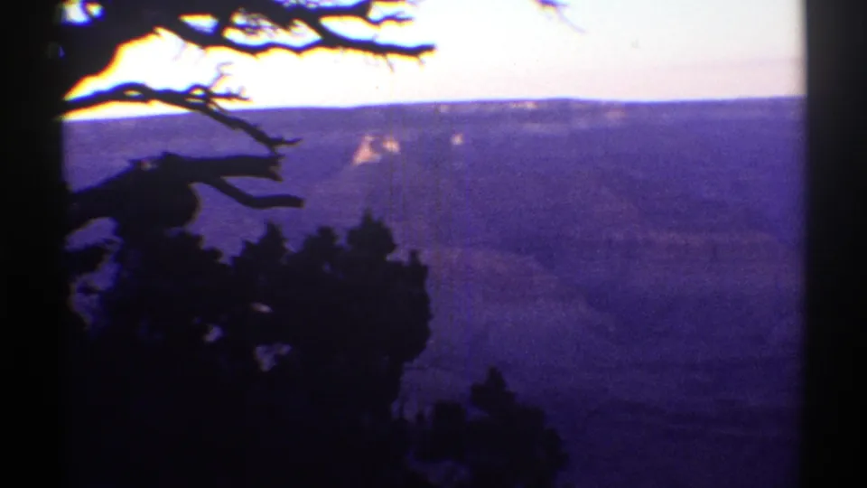 Arizona canyon landscape in 1969 8mm footage, with foreground branches silhouetted against a bright horizon and purple valley tones.