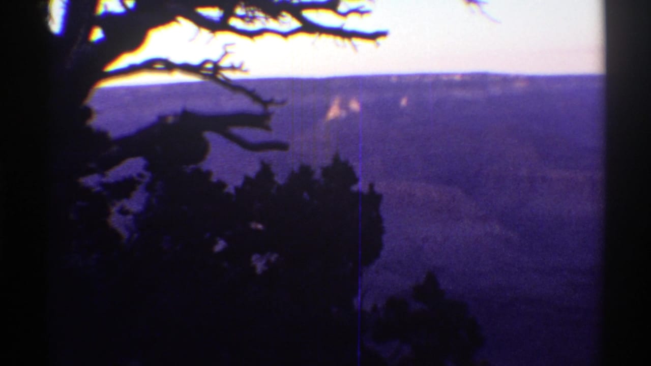 Silhouetted tree branches frame a distant canyon and mountain horizon.