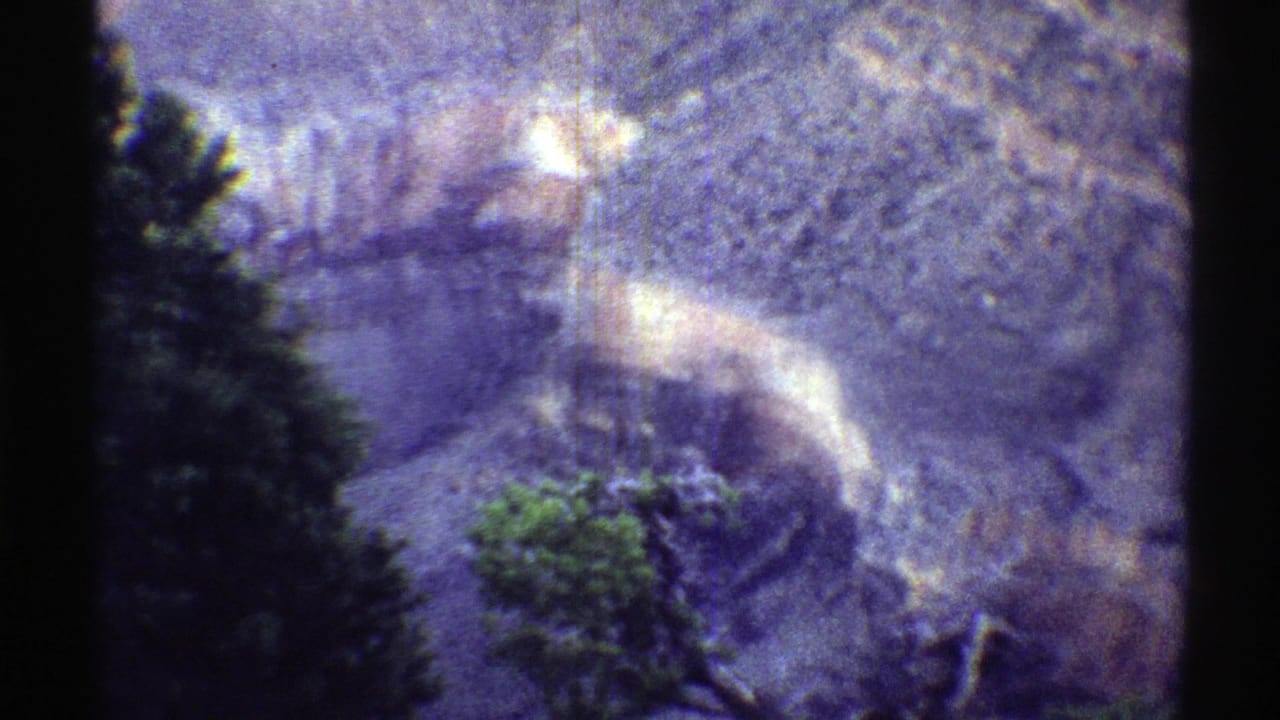 Evergreen trees stand before pale canyon walls and shadowed slopes.