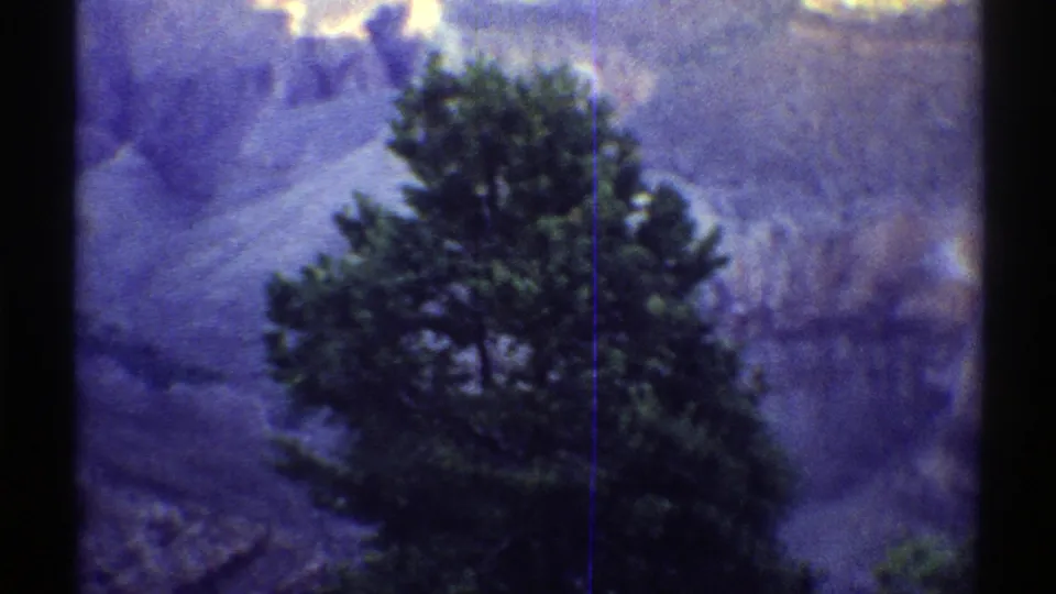 1969 Arizona 8mm frame with a large green tree in front of soft, layered canyon terrain.