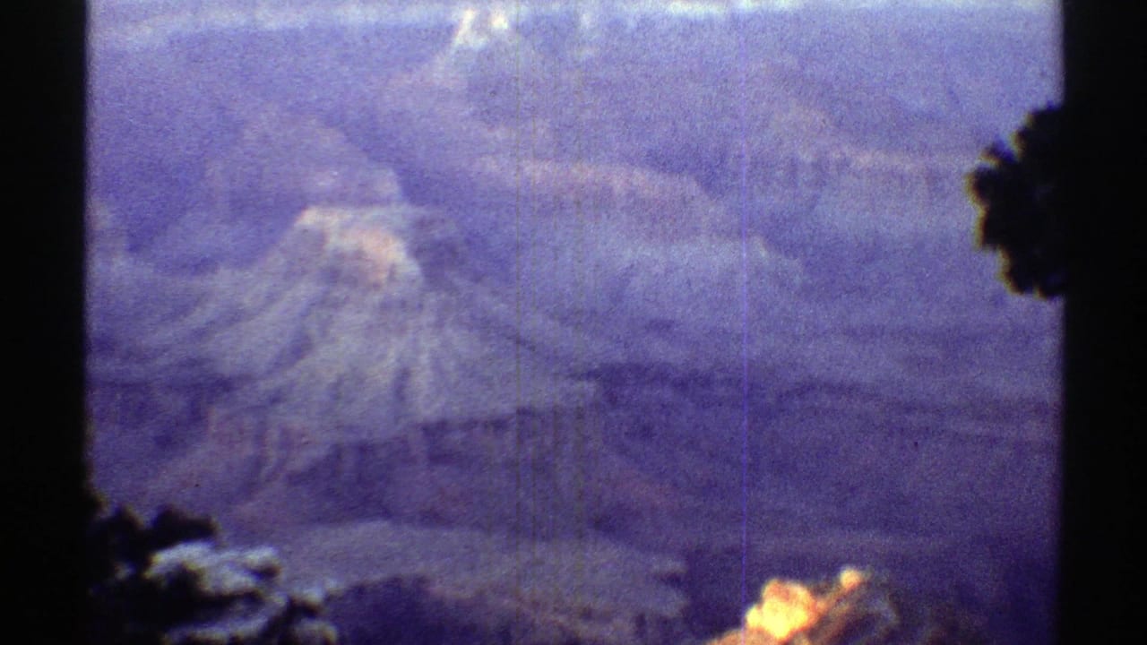 Blue-hazed canyon view with dark foreground tree silhouettes.