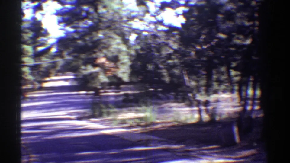 Handheld 8mm view panning from the house area toward a tree-lined Arizona road with brush and broken sunlight.