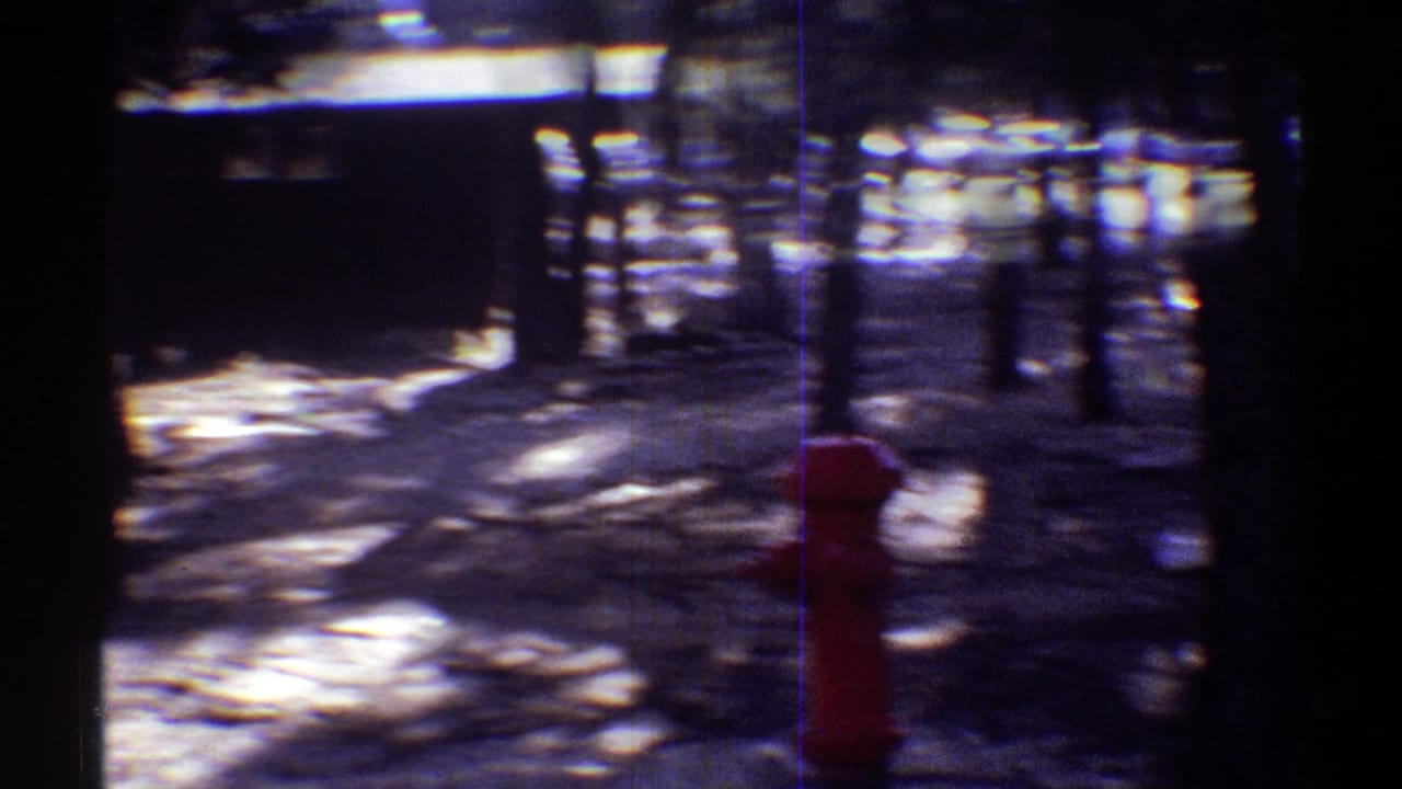 1969 Arizona home-movie frame with a red fire hydrant near trees, driveway pavement, and dappled sunlight.