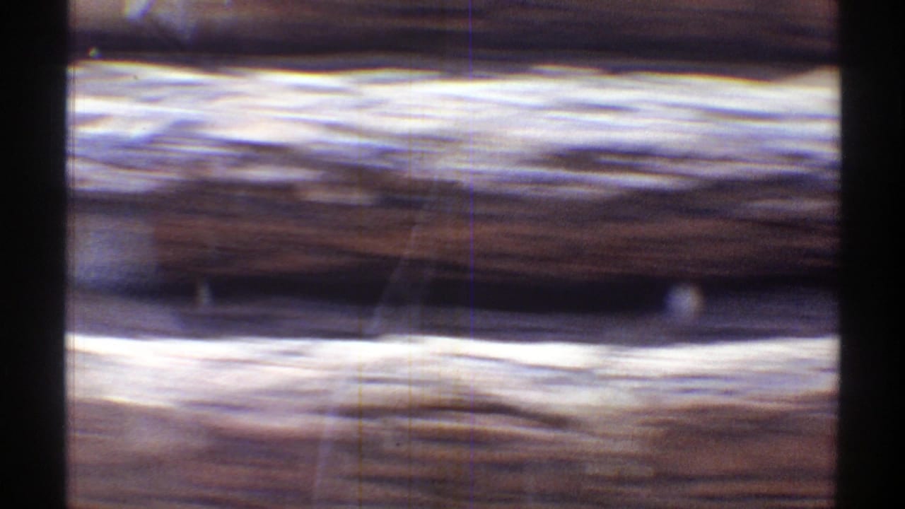 Arizona 1969 home-movie frame with a motion-blurred tan truck carrying cut logs past the filming vehicle.