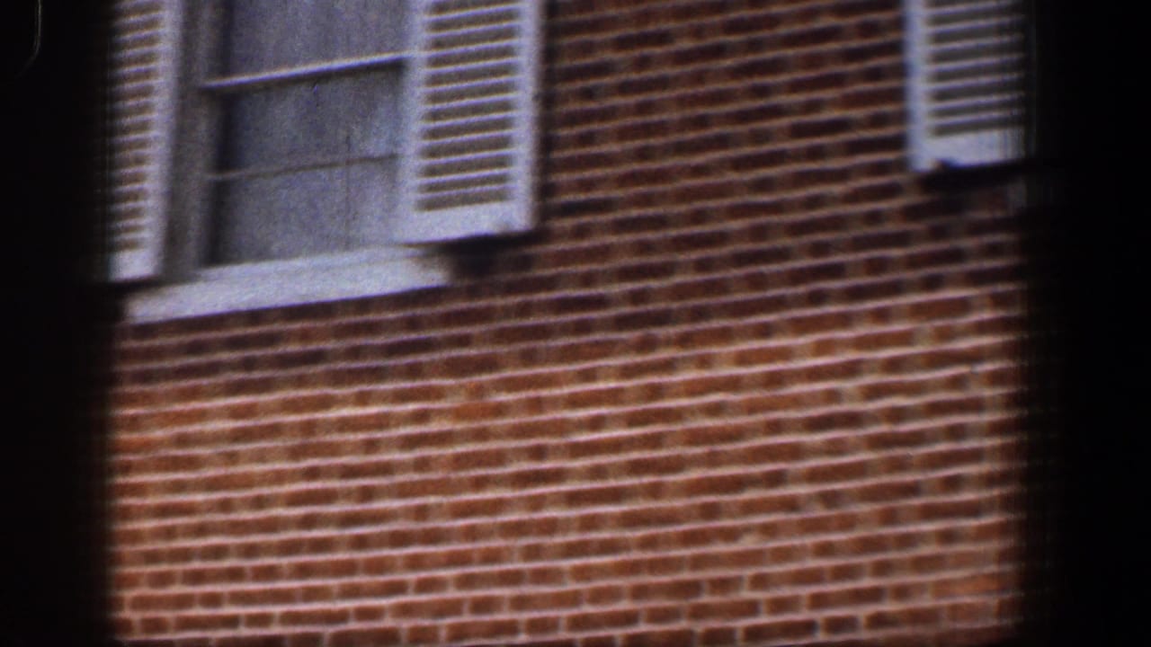 Close view of brick wall with two white-trimmed windows and shutters near the top of frame.