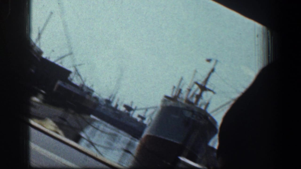 Tilted view from a moving vehicle toward ships and cranes near the harbor.