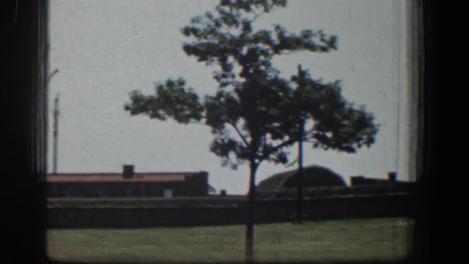 1961 Baltimore view of a tree, grassy grounds, and low brown building, partially divided by dark window framing.