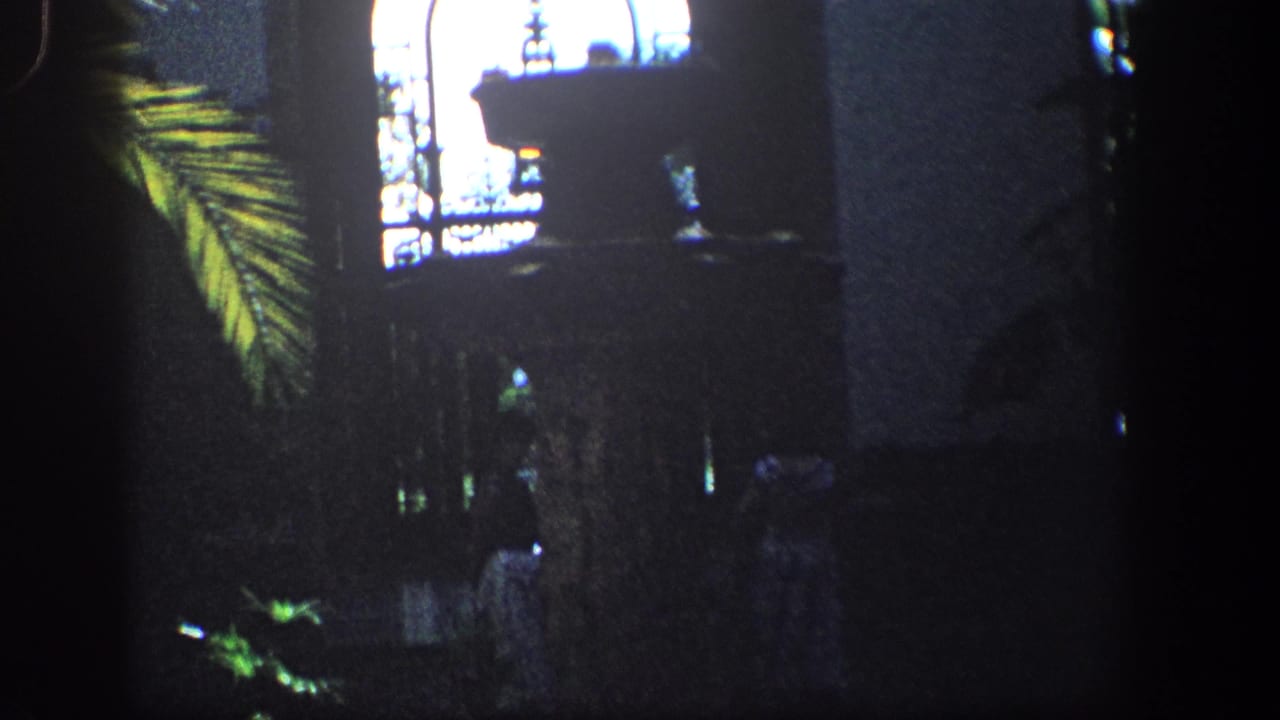 Dim interior with a balcony or ledge, palm leaf, and shadowed fountain area.