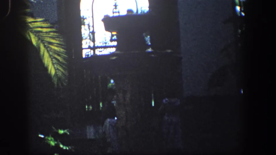 Shadowed Baltimore interior view with a palm leaf, upper architectural detail, and a dark fountain or planter form.