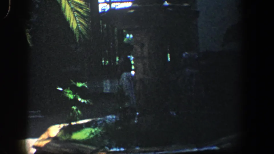 1961 interior frame showing a dark fountain or basin area surrounded by plants beneath filtered window light.
