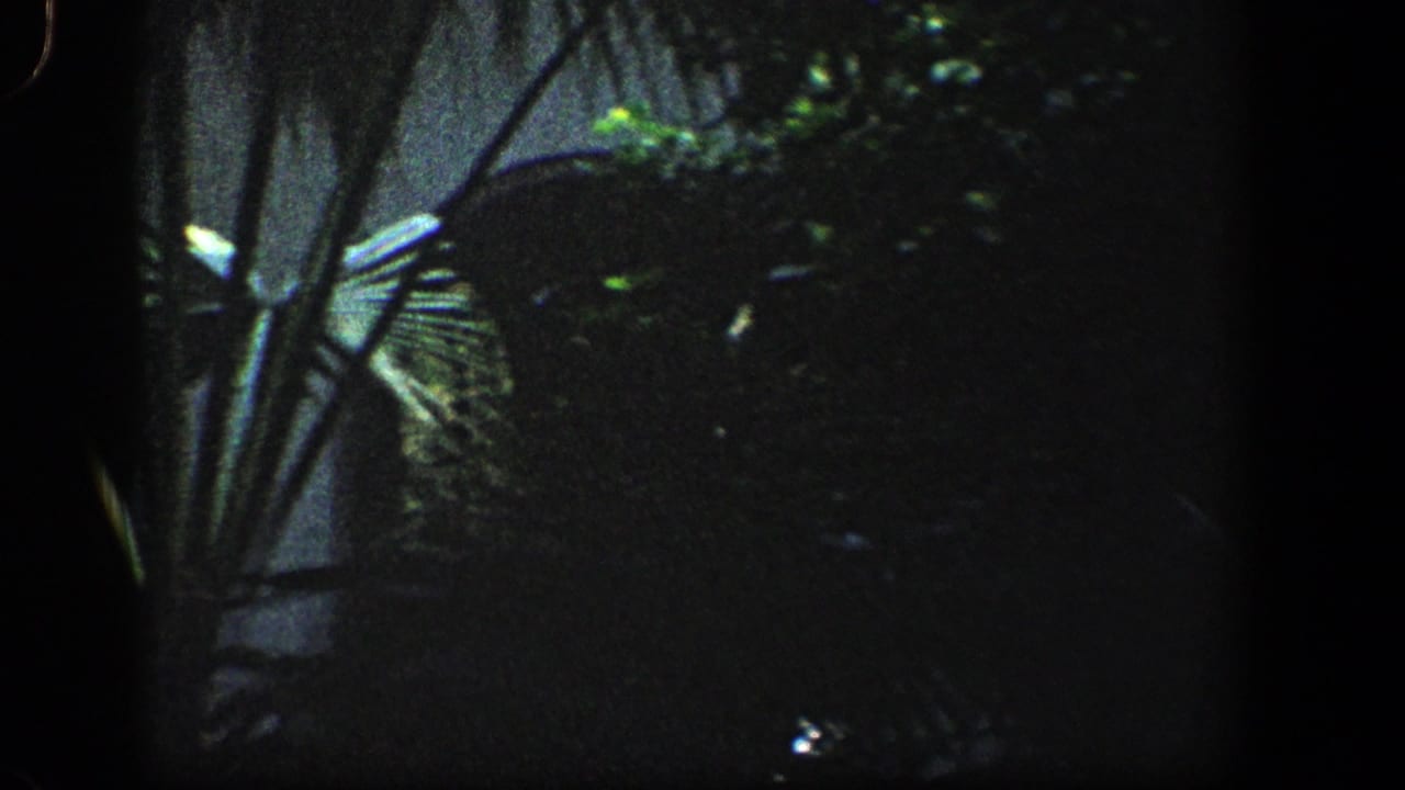 Dark partial view of building edge, trees and frame shadow.