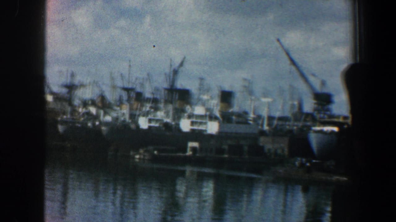 Clustered ships and cranes along a harbor waterfront behind dark vertical bars.