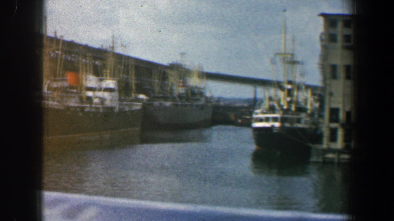 Large vessels moored near a pier and waterfront structure.