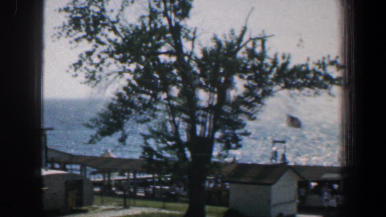 Large tree, waterfront buildings, small trailer, flag, and shimmering water framed by a window.