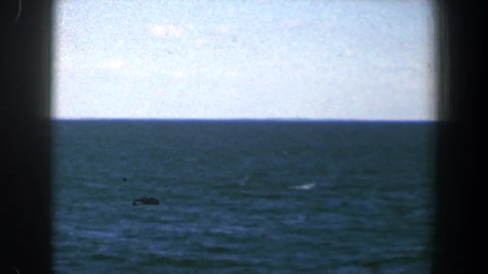 1961 8mm home-movie frame of open water near Baltimore, Maryland, viewed through dark window or frame edges.