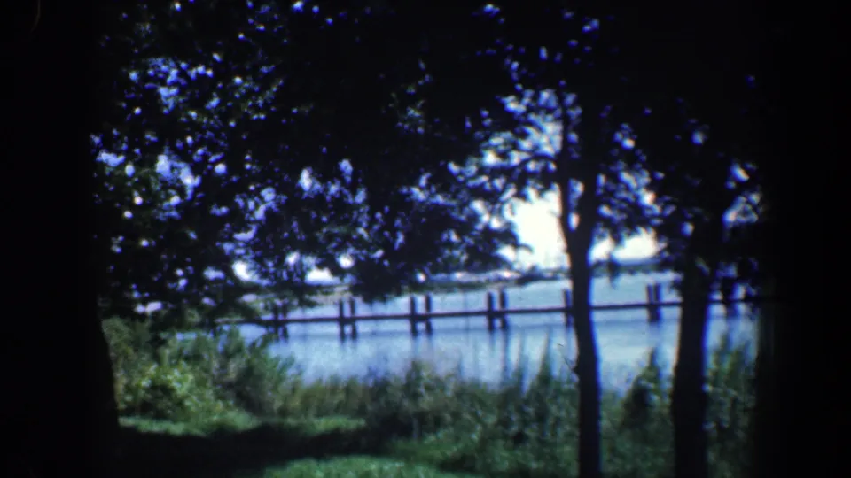 1961 Baltimore-area frame looking through shade trees toward a fenced waterfront with grass and road edge visible.