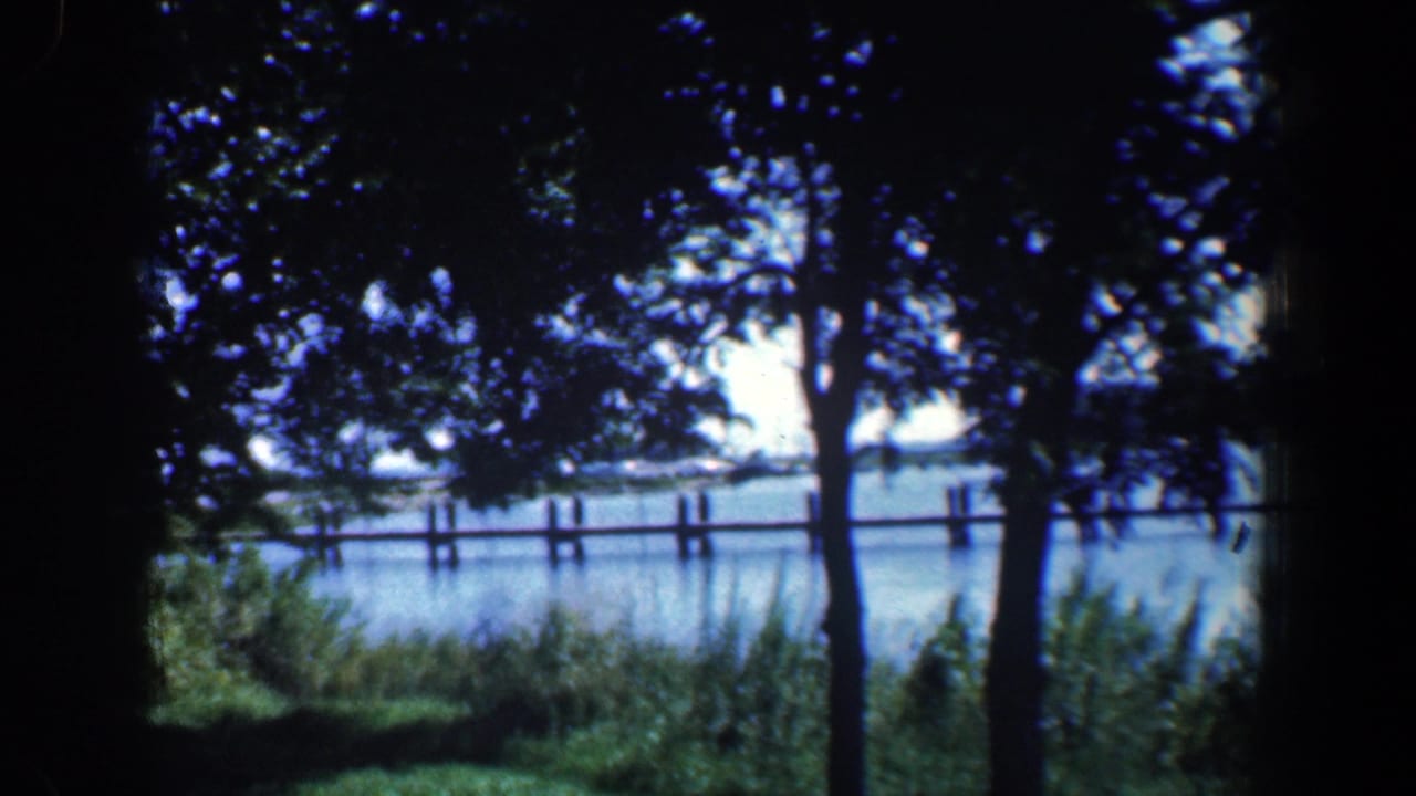 Shaded trees frame calm water with pier posts and distant shoreline.