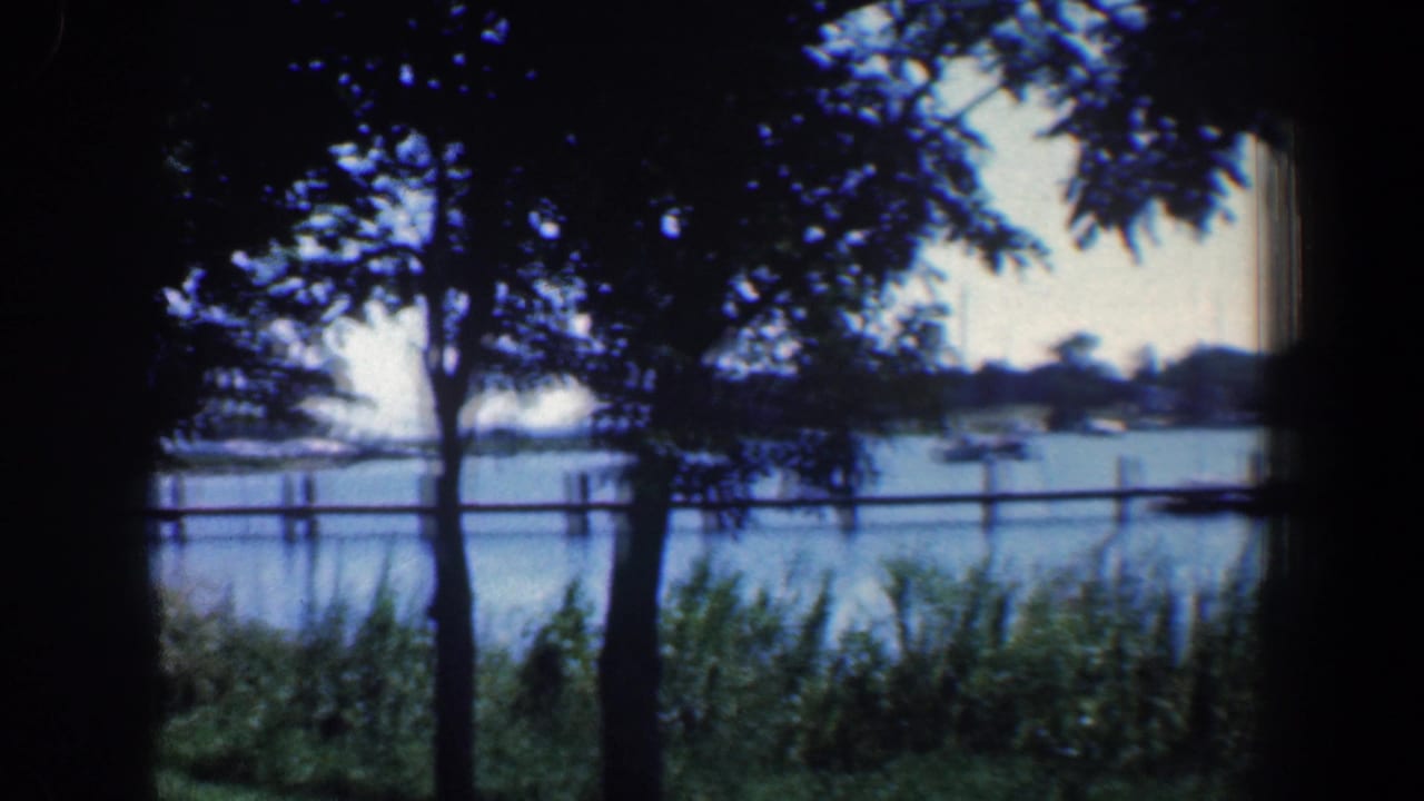 1961 Baltimore-area waterfront seen through shaded trees, with reeds at the bank, wooden posts in the water, and a distant low shoreline.