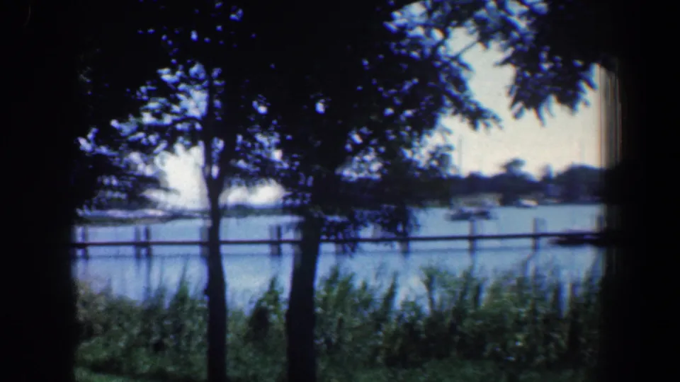 1961 Baltimore-area waterfront seen through shaded trees, with reeds at the bank, wooden posts in the water, and a distant low shoreline.
