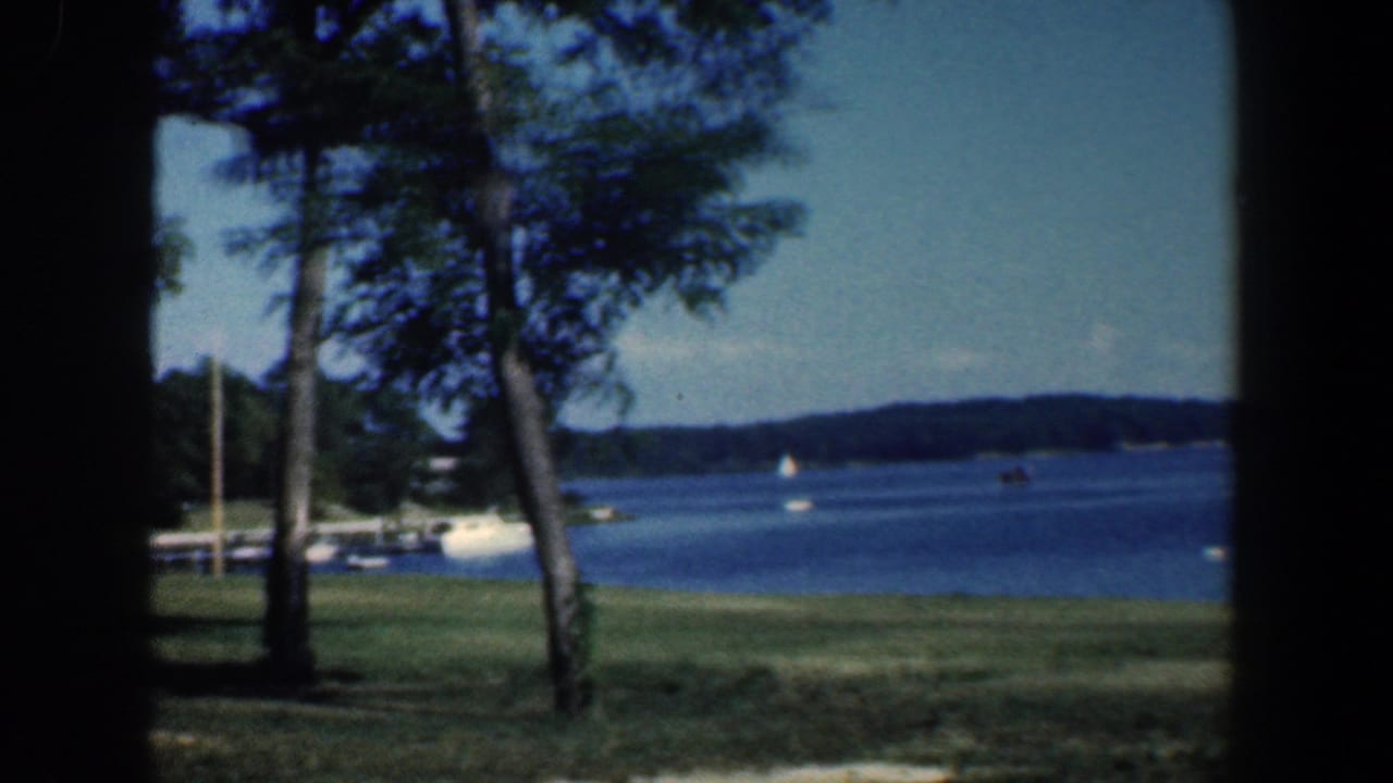Grassy lakeshore with tall trees, blue water, distant shore, and small boats.