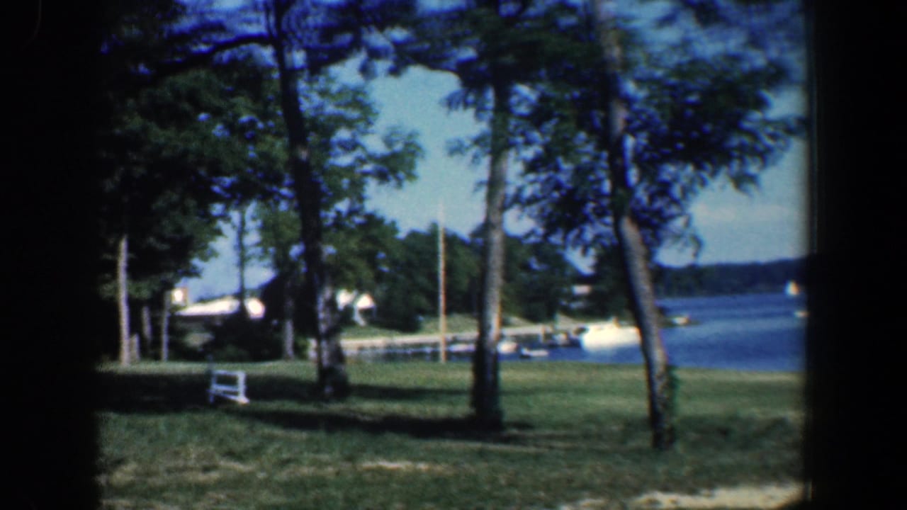 Tree-lined lawn beside a lake with a dock, boats, and a white bench-like object.