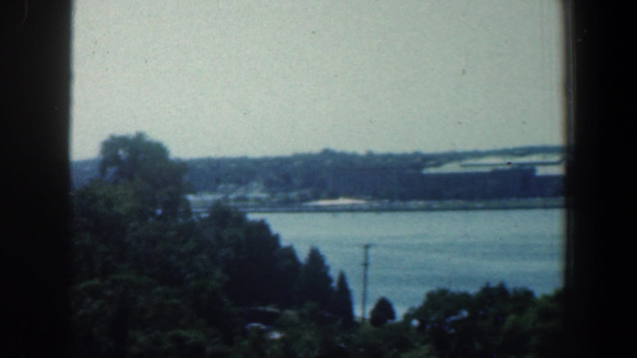 River view with trees in the foreground and distant buildings across the water.