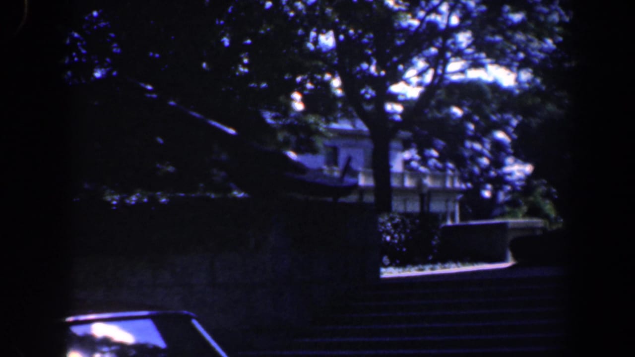 Stone steps and a tree-lined building are seen in bright patches of sun and shade.