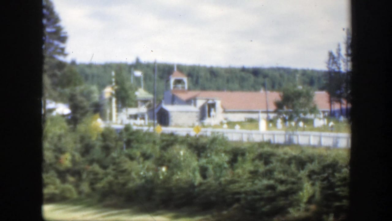 Distant white buildings seen past dark window-frame borders and greenery.