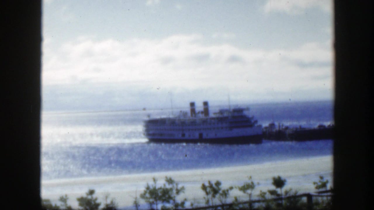 Passenger ship farther right on the water beside a low shoreline.