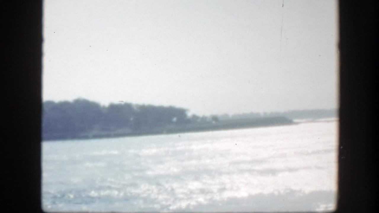 Bright water seen past dark vertical frame bars with a distant tree-lined shoreline.