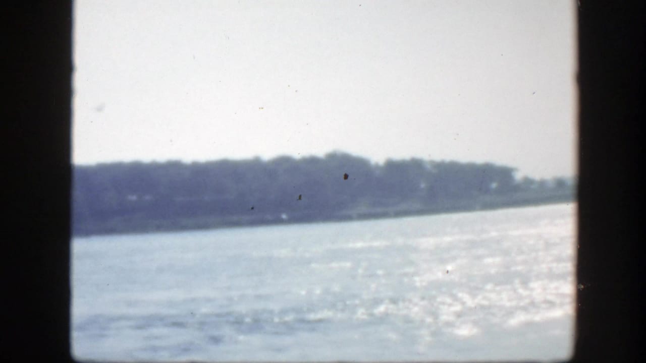 Sunlit water and distant wooded shoreline partially blocked by dark vertical bars.