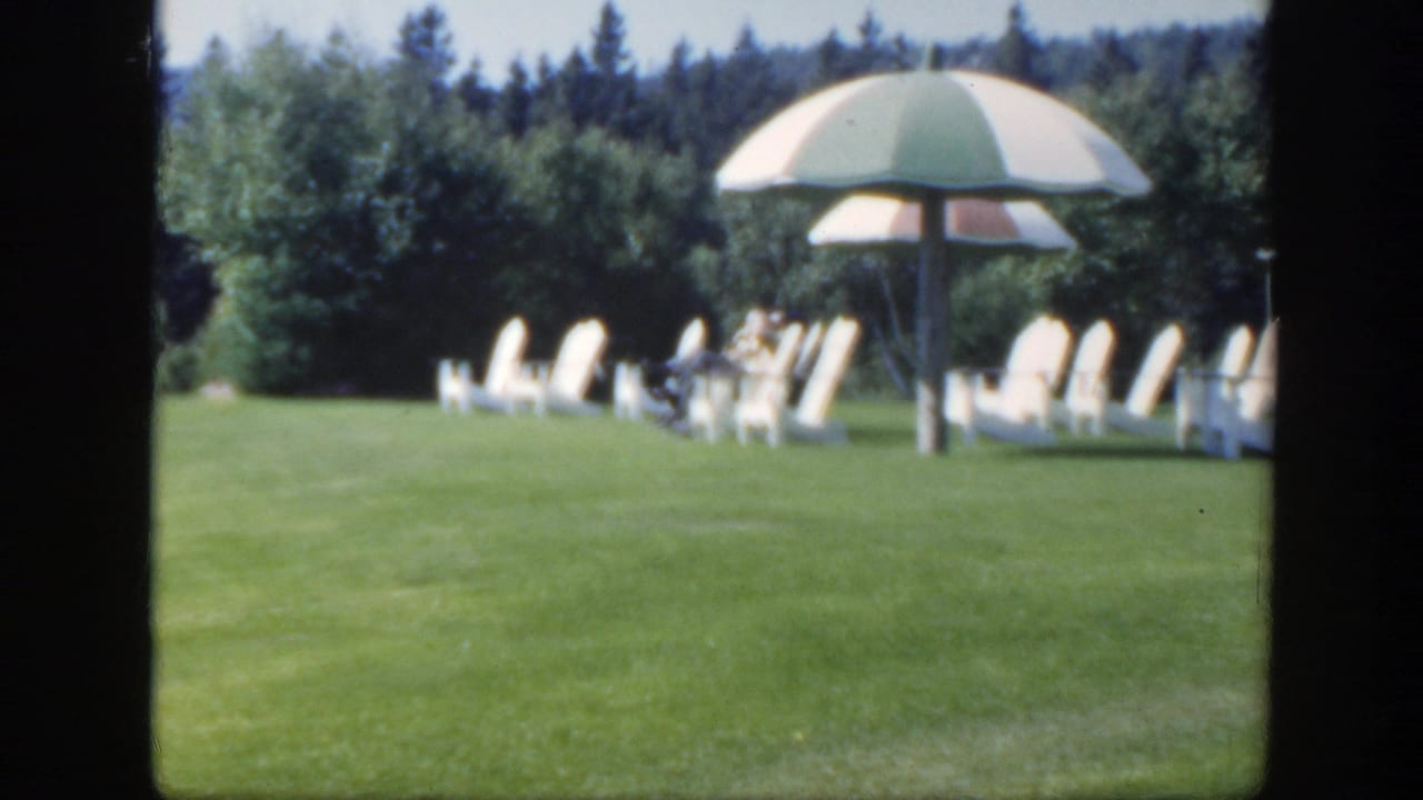 Wide lawn with white chairs and a striped umbrella near trees.