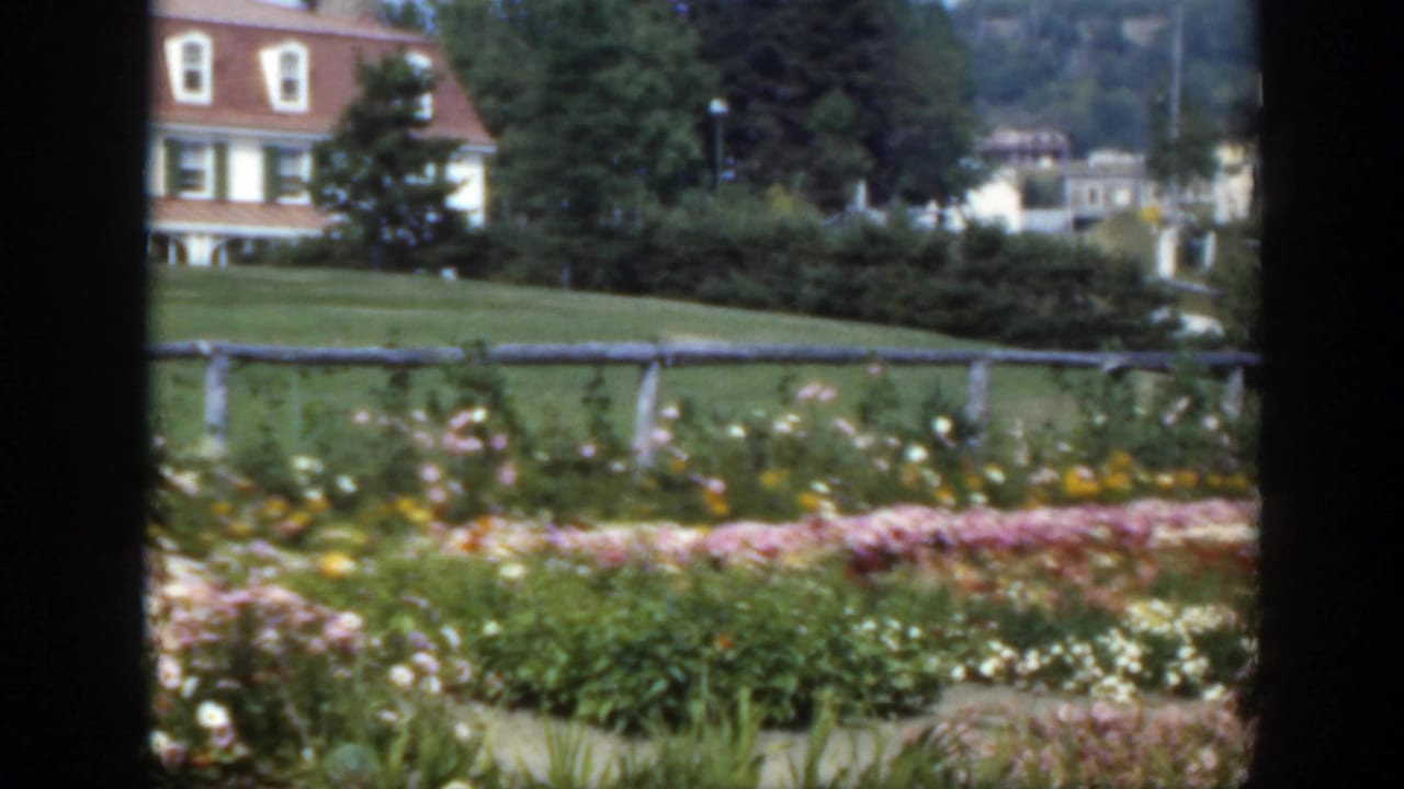 Garden beds and fence with a red-roofed house partly visible behind trees.